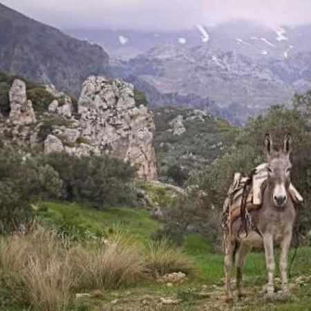 Traditional Cretan House Lithostrati Karidi Village Bagian luar foto