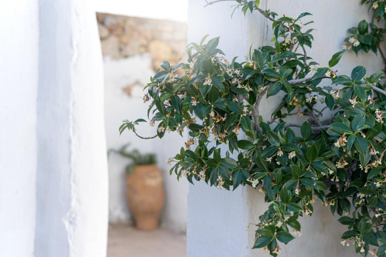 Traditional Cretan House Lithostrati Karidi Village Bagian luar foto