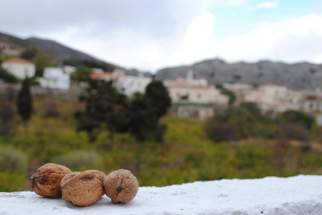 Traditional Cretan House Lithostrati Karidi Village Bagian luar foto