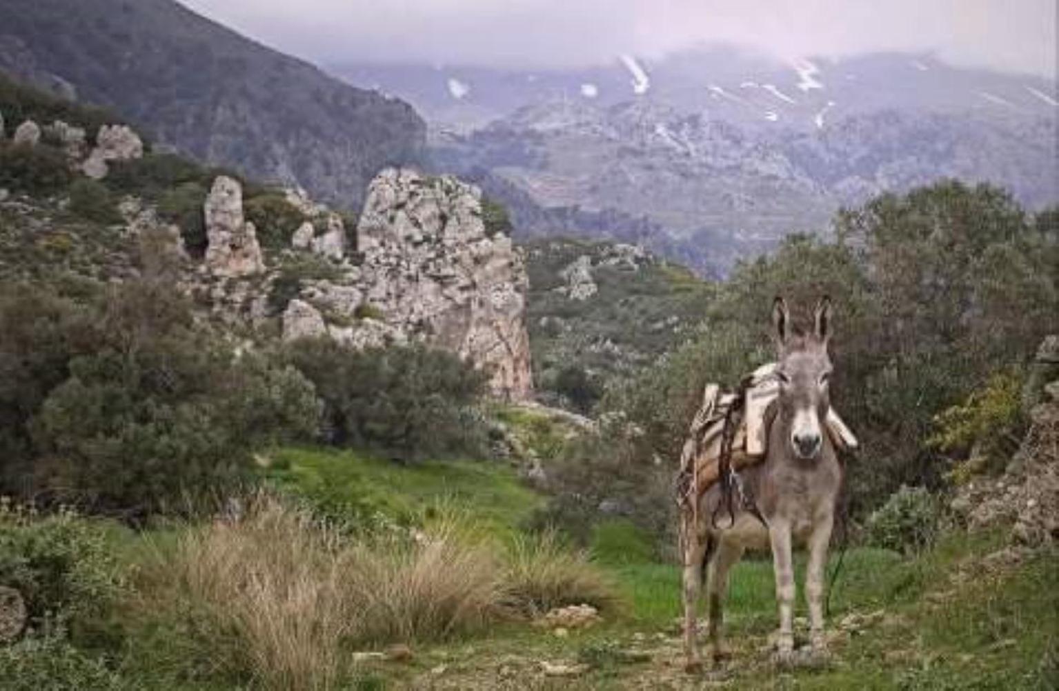 Traditional Cretan House Lithostrati Karidi Village Bagian luar foto